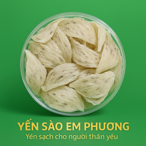 Tổ Yến thô ít lông Cao Cấp loại 1 (100gram) - YS213